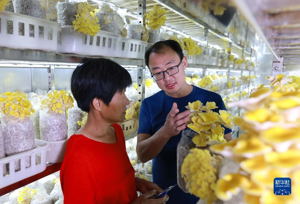 小美斗地主官网
